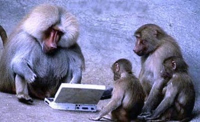 monkeys-and-typewriters